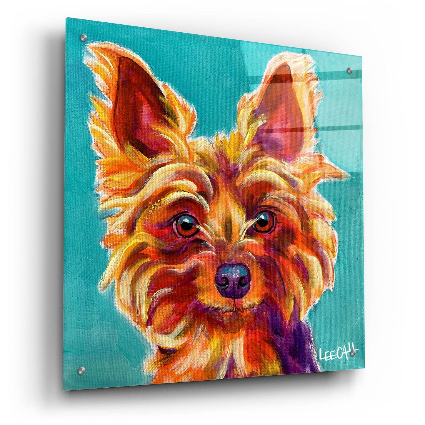 Epic Art 'Yorkiepoo' by Dawg Painter, Acrylic Glass Wall Art,24x24