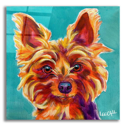 Epic Art 'Yorkiepoo' by Dawg Painter, Acrylic Glass Wall Art