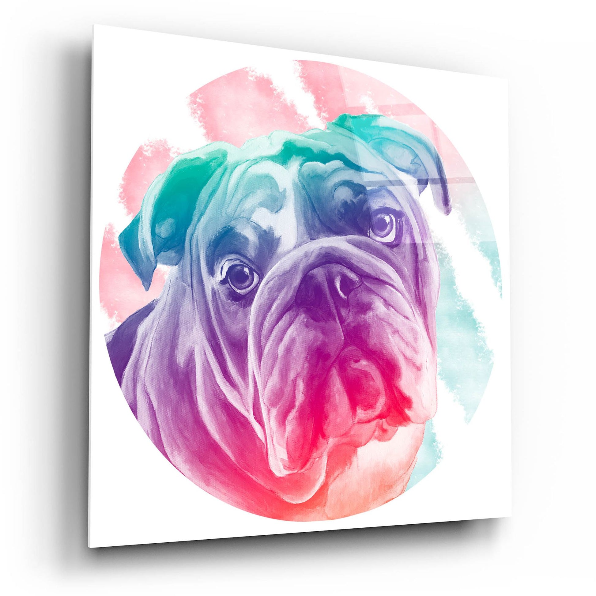 Epic Art 'Faded Bulldog' by Dawg Painter, Acrylic Glass Wall Art,12x12