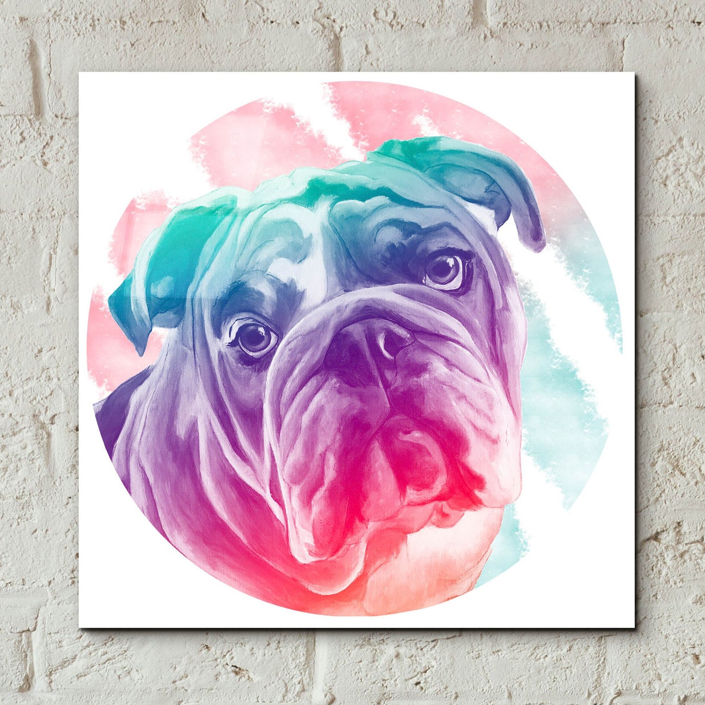 Epic Art 'Faded Bulldog' by Dawg Painter, Acrylic Glass Wall Art,12x12