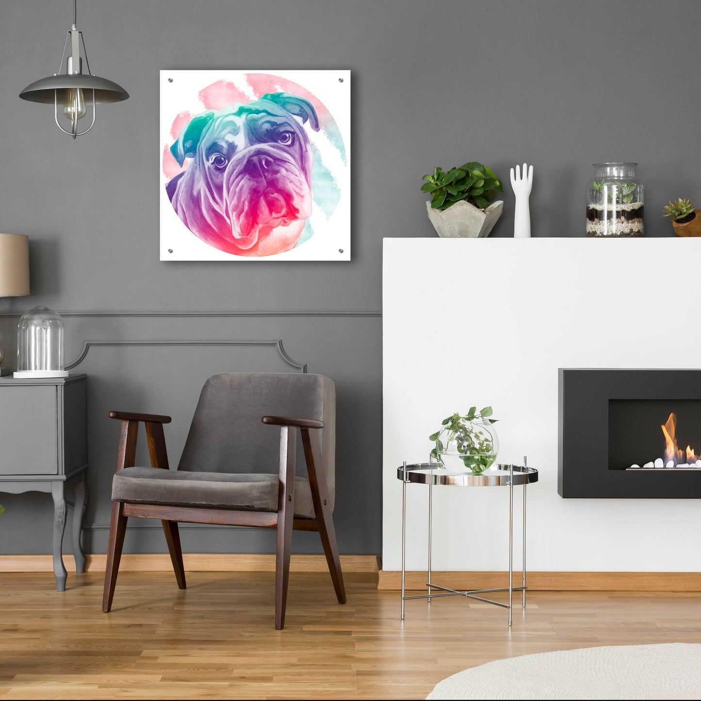 Epic Art 'Faded Bulldog' by Dawg Painter, Acrylic Glass Wall Art,24x24