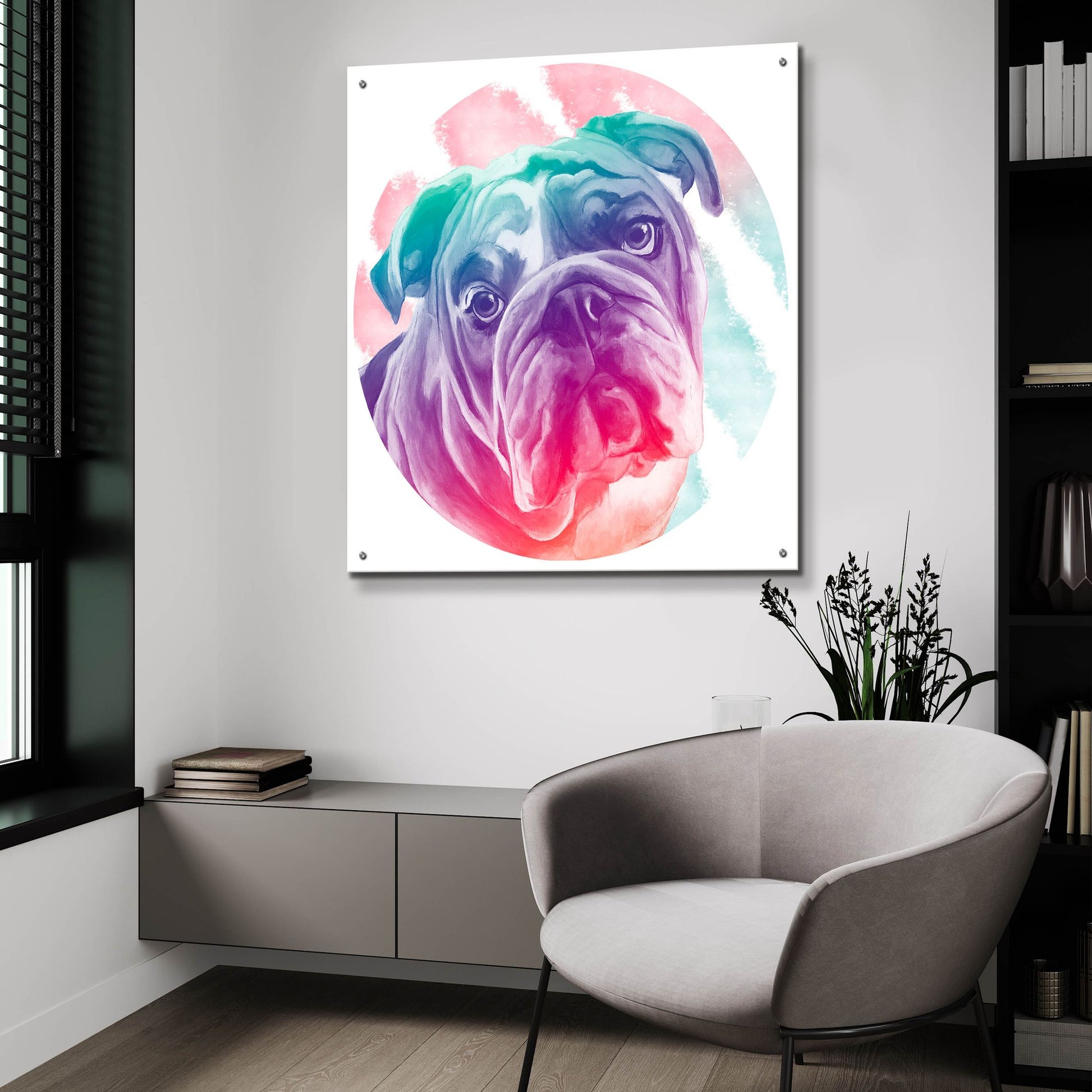 Epic Art 'Faded Bulldog' by Dawg Painter, Acrylic Glass Wall Art,36x36