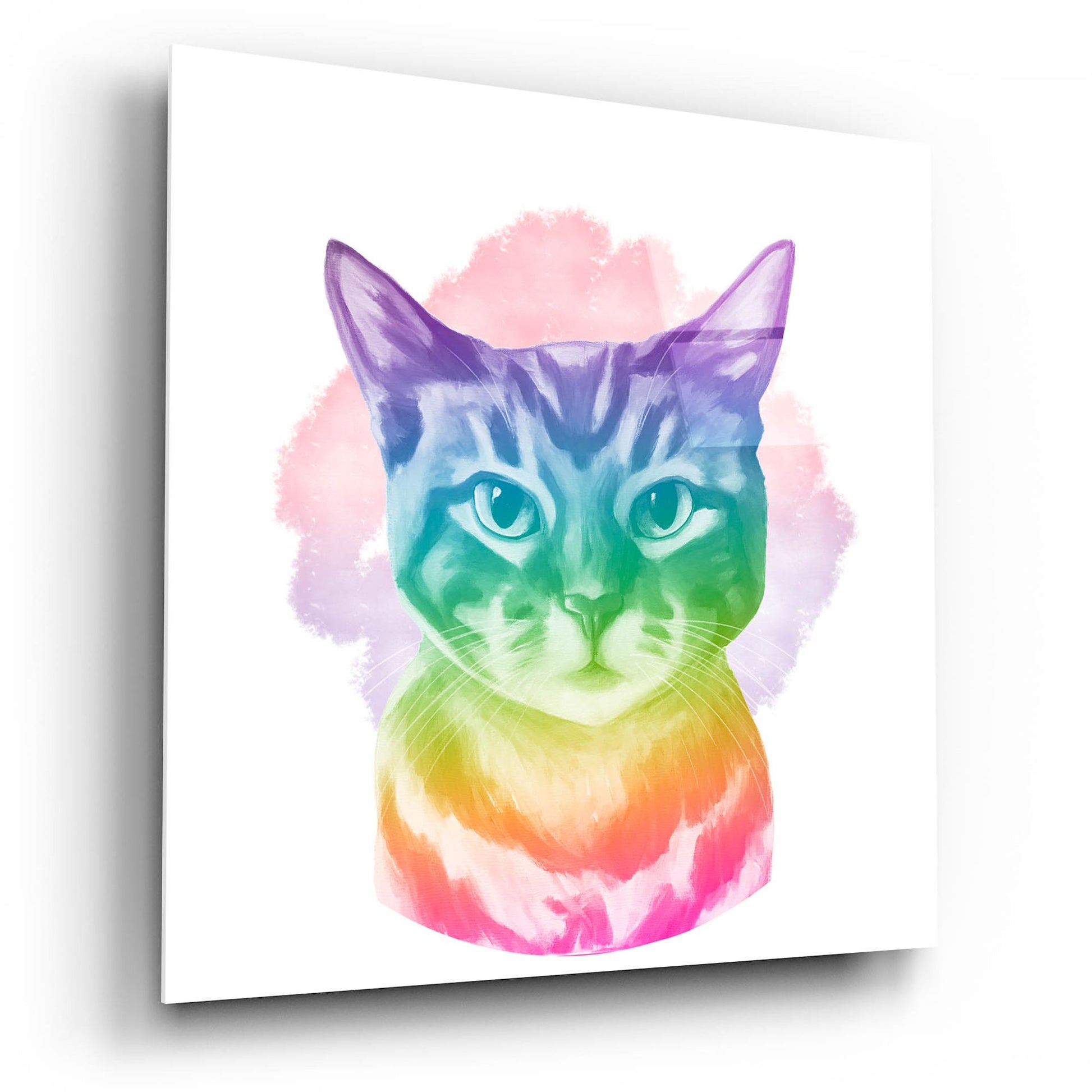 Epic Art 'Faded Kitten' by Dawg Painter, Acrylic Glass Wall Art,12x12