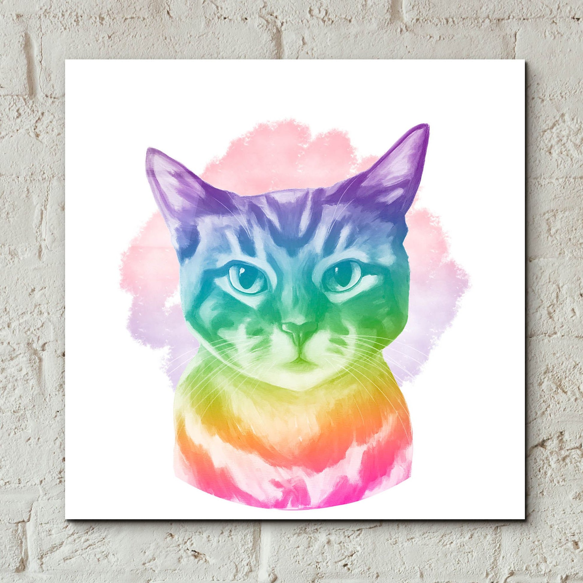 Epic Art 'Faded Kitten' by Dawg Painter, Acrylic Glass Wall Art,12x12