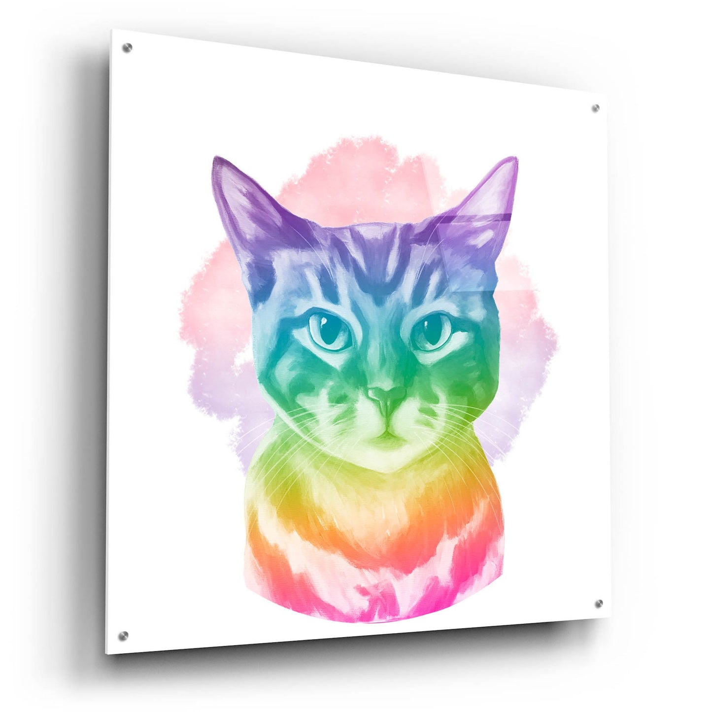 Epic Art 'Faded Kitten' by Dawg Painter, Acrylic Glass Wall Art,36x36