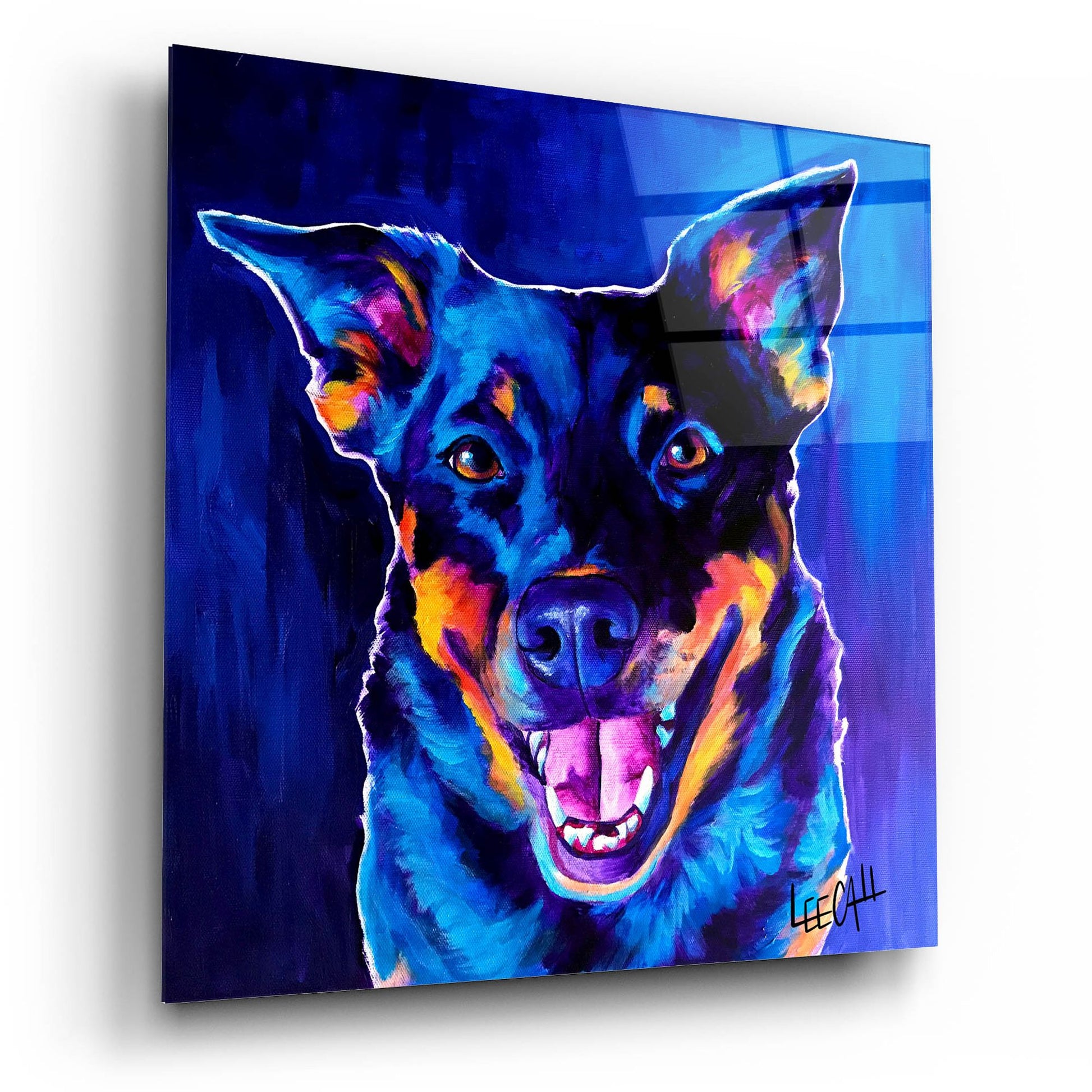 Epic Art 'Rocky' by Dawg Painter, Acrylic Glass Wall Art,12x12