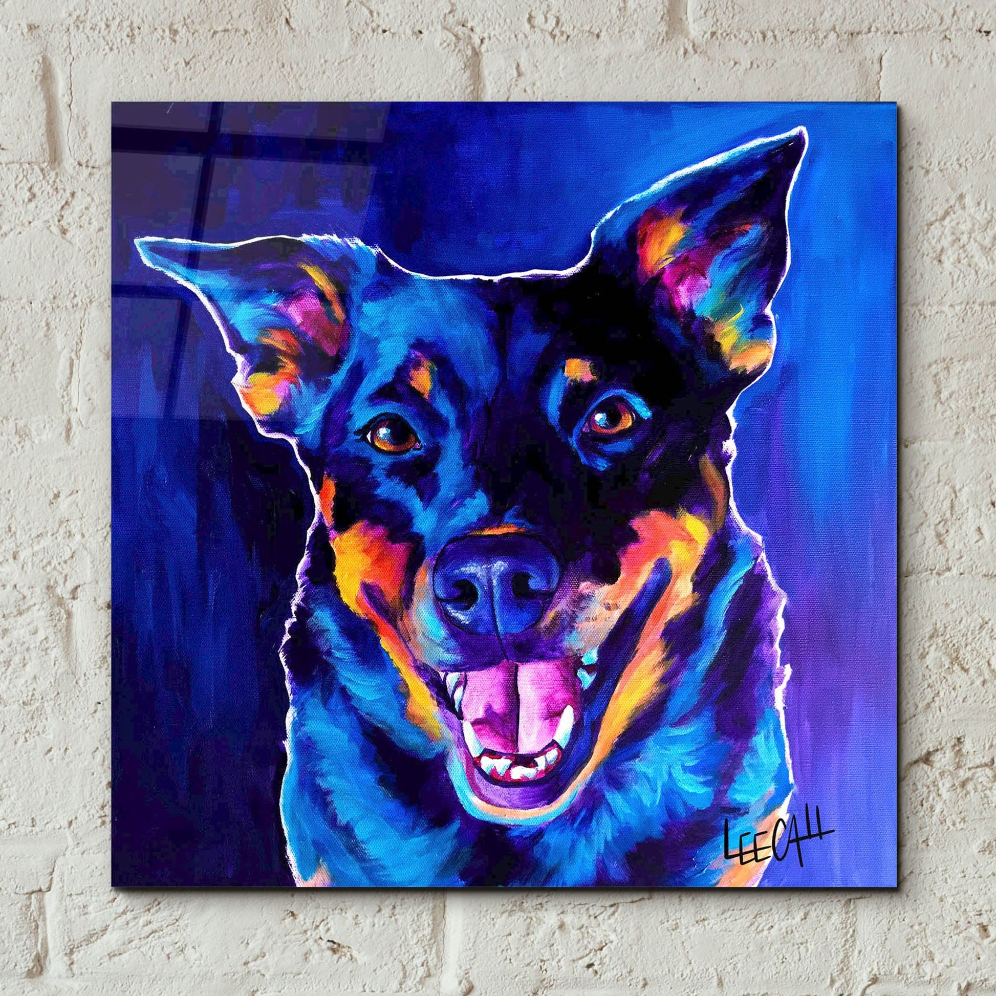 Epic Art 'Rocky' by Dawg Painter, Acrylic Glass Wall Art,12x12