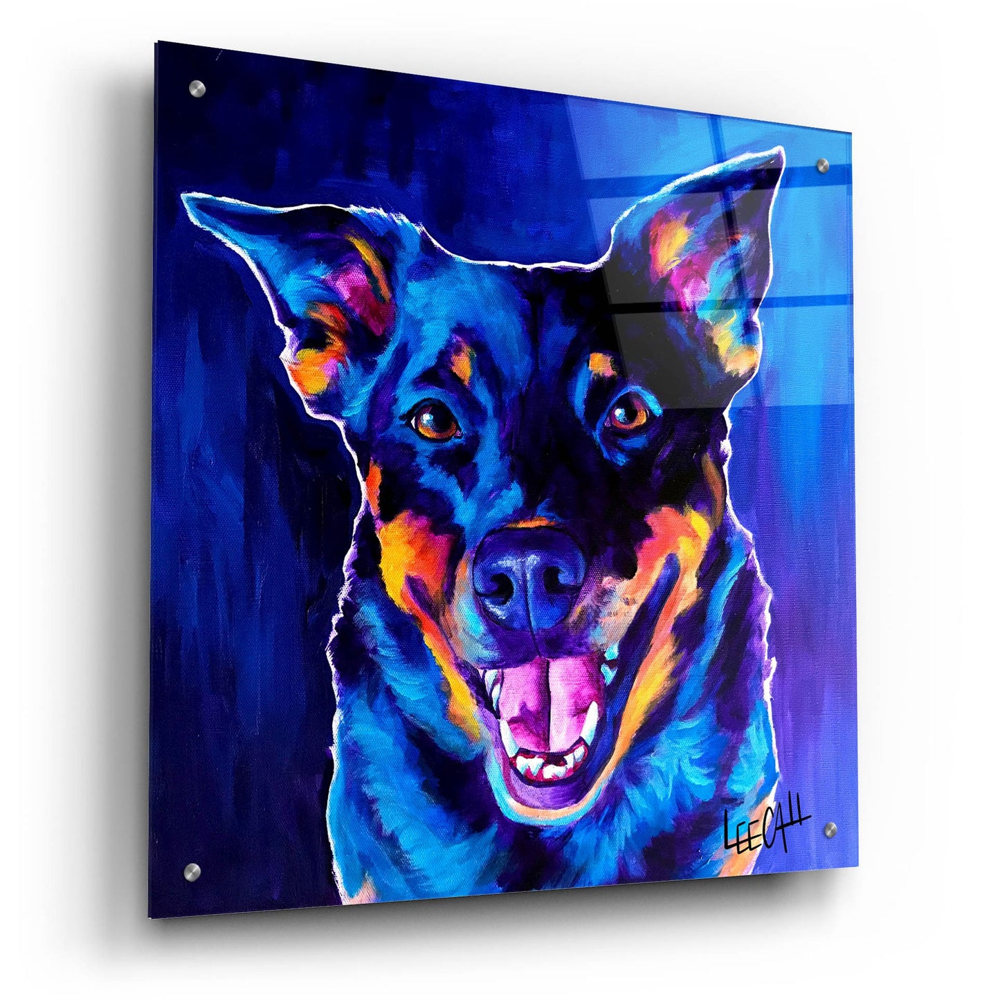 Epic Art 'Rocky' by Dawg Painter, Acrylic Glass Wall Art,24x24