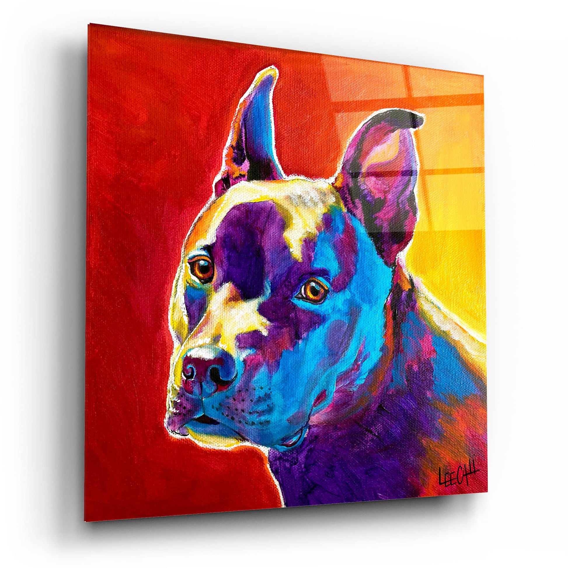 Epic Art 'Pitty' by Dawg Painter, Acrylic Glass Wall Art,12x12