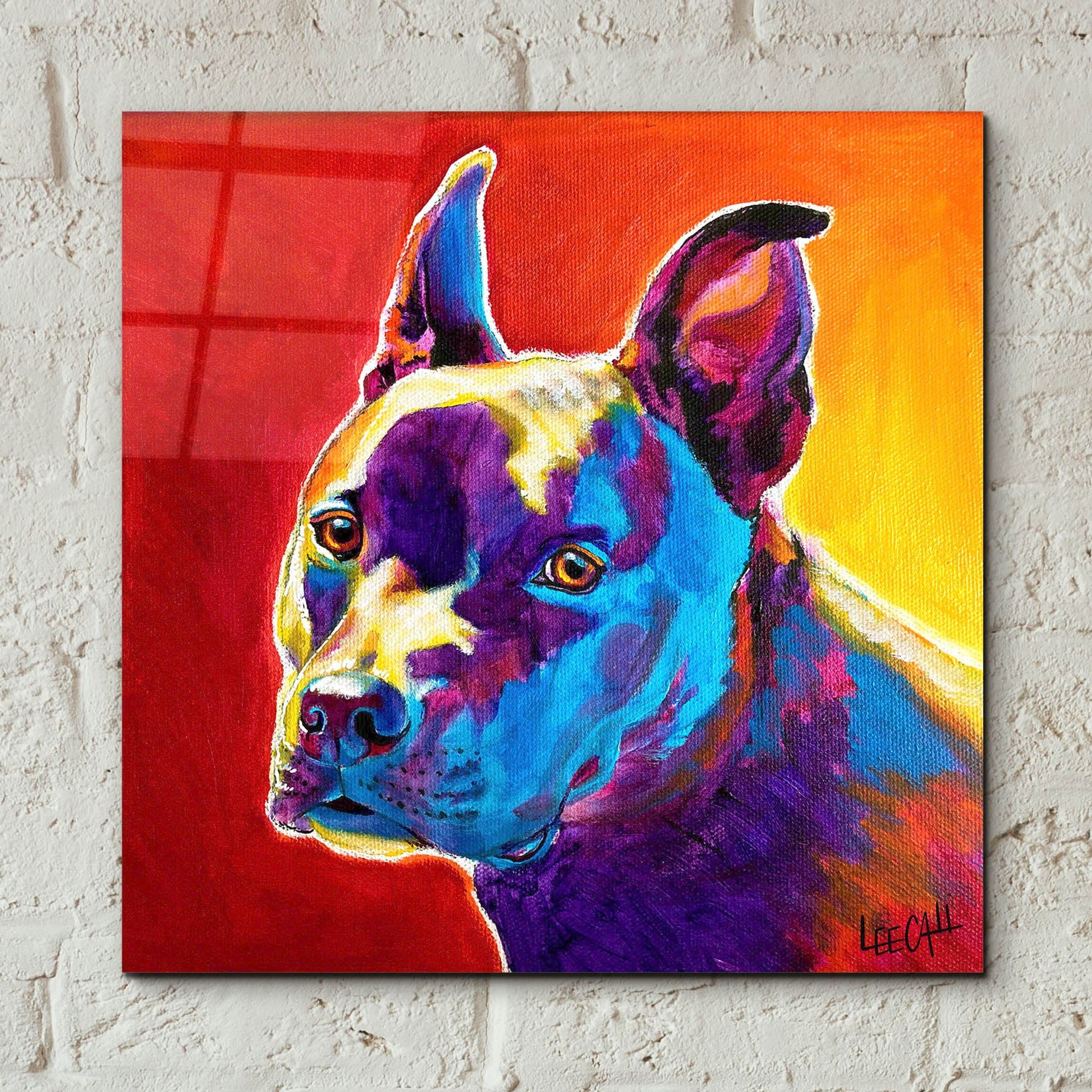 Epic Art 'Pitty' by Dawg Painter, Acrylic Glass Wall Art,12x12