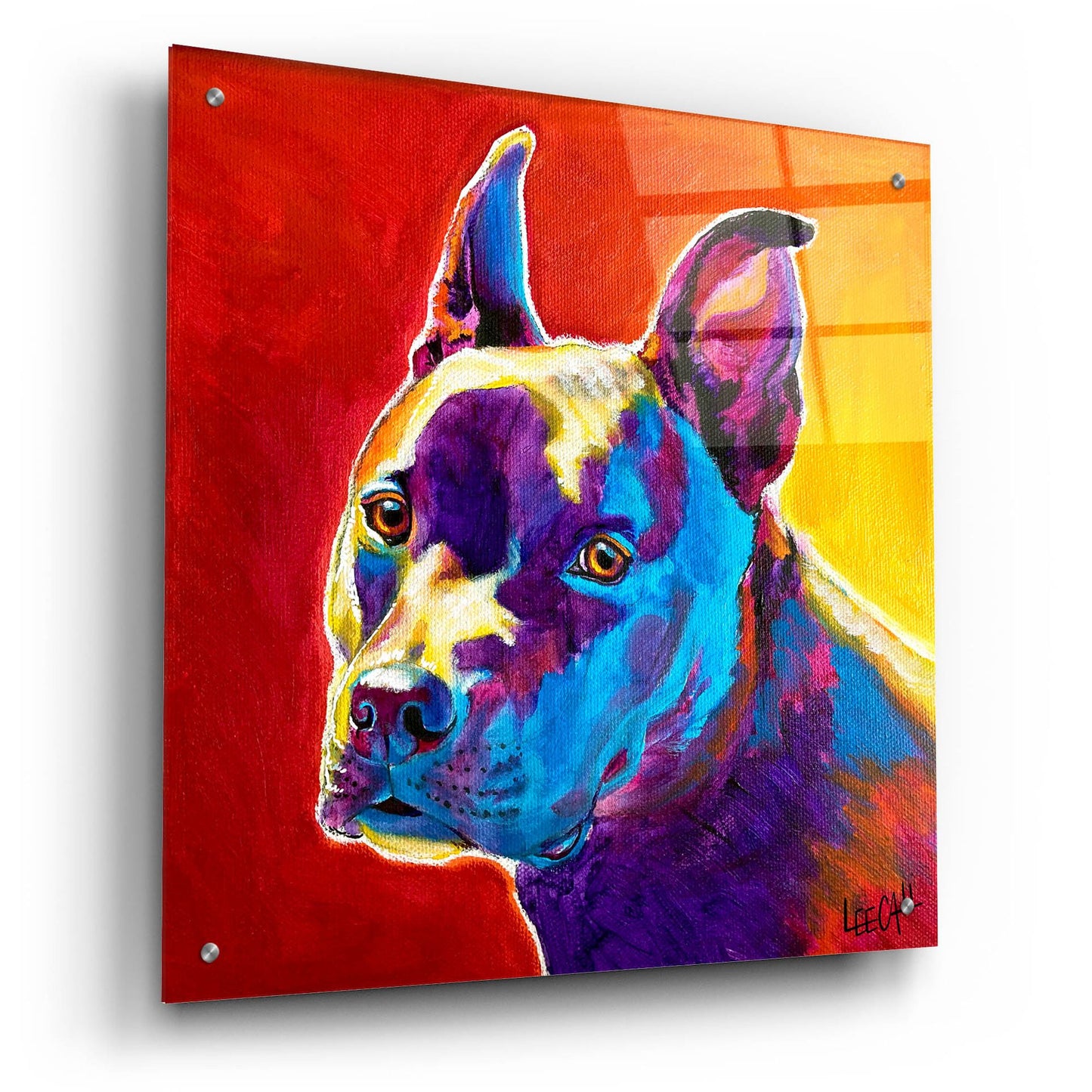 Epic Art 'Pitty' by Dawg Painter, Acrylic Glass Wall Art,24x24