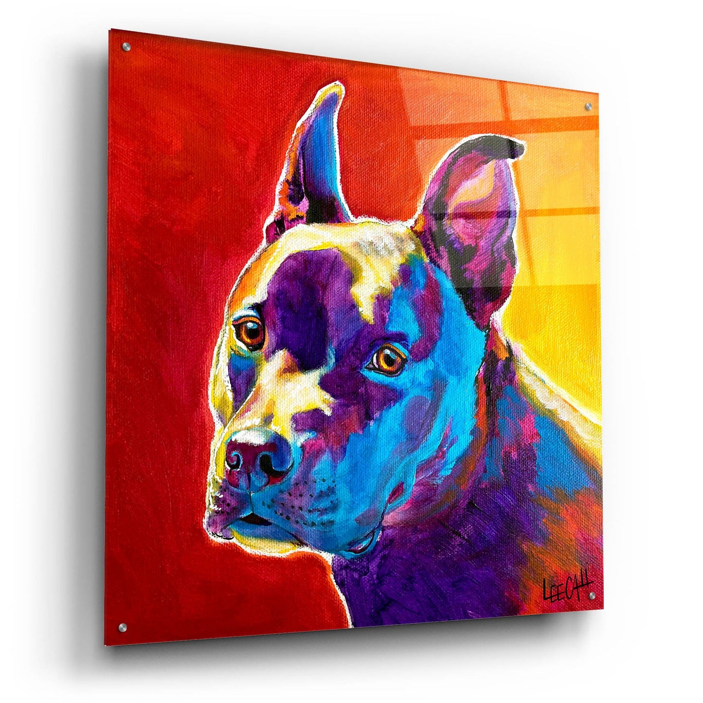 Epic Art 'Pitty' by Dawg Painter, Acrylic Glass Wall Art,36x36