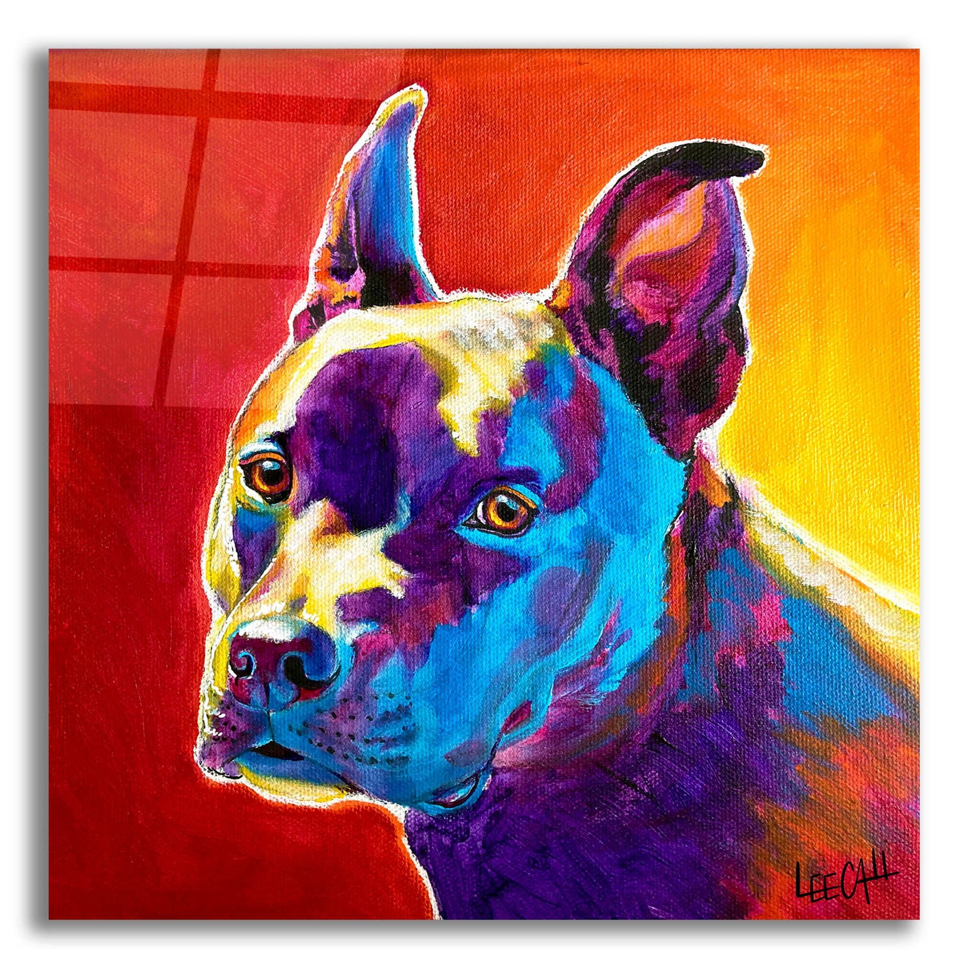 Epic Art 'Pitty' by Dawg Painter, Acrylic Glass Wall Art