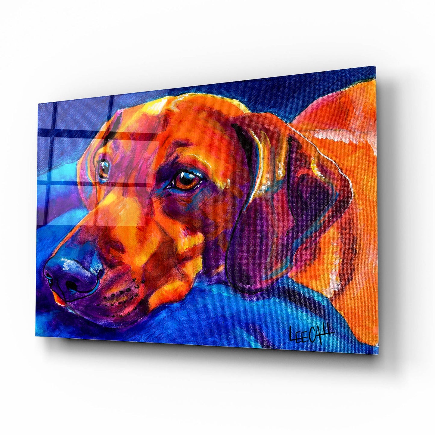 Epic Art 'Melted' by Dawg Painter, Acrylic Glass Wall Art,16x12