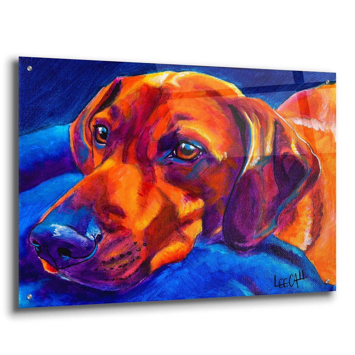 Epic Art 'Melted' by Dawg Painter, Acrylic Glass Wall Art,36x24