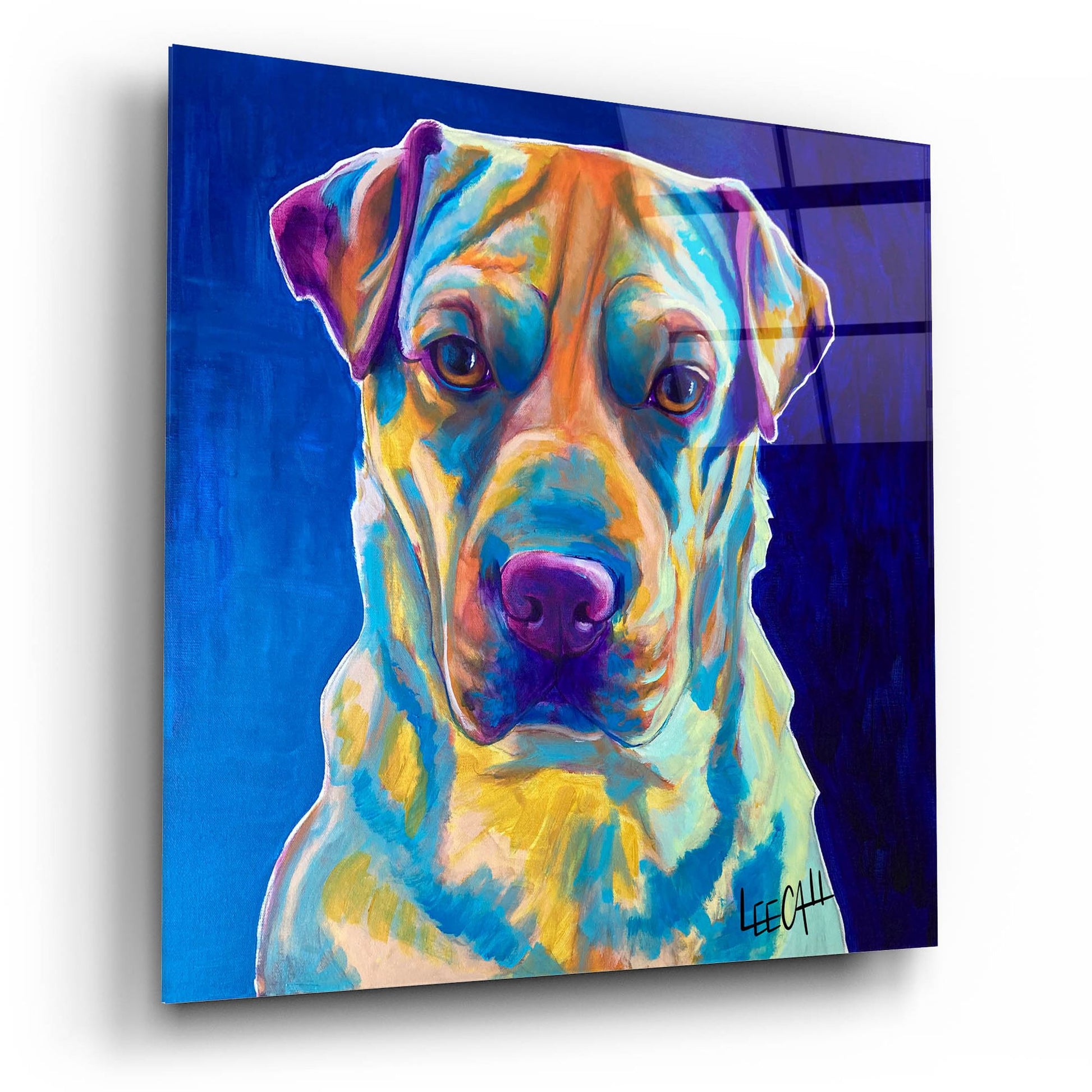 Epic Art 'Ethan' by Dawg Painter, Acrylic Glass Wall Art,12x12