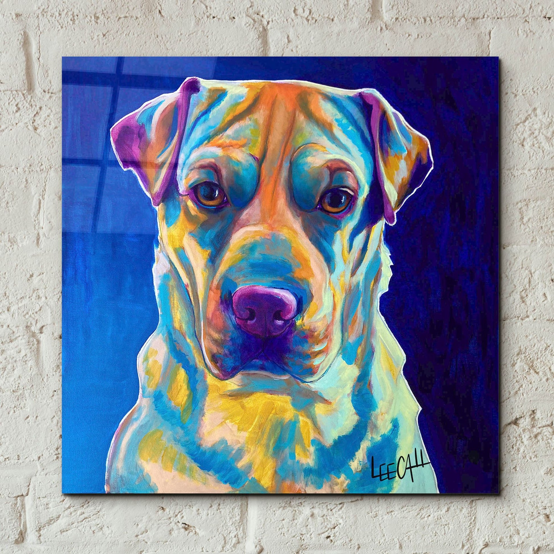 Epic Art 'Ethan' by Dawg Painter, Acrylic Glass Wall Art,12x12