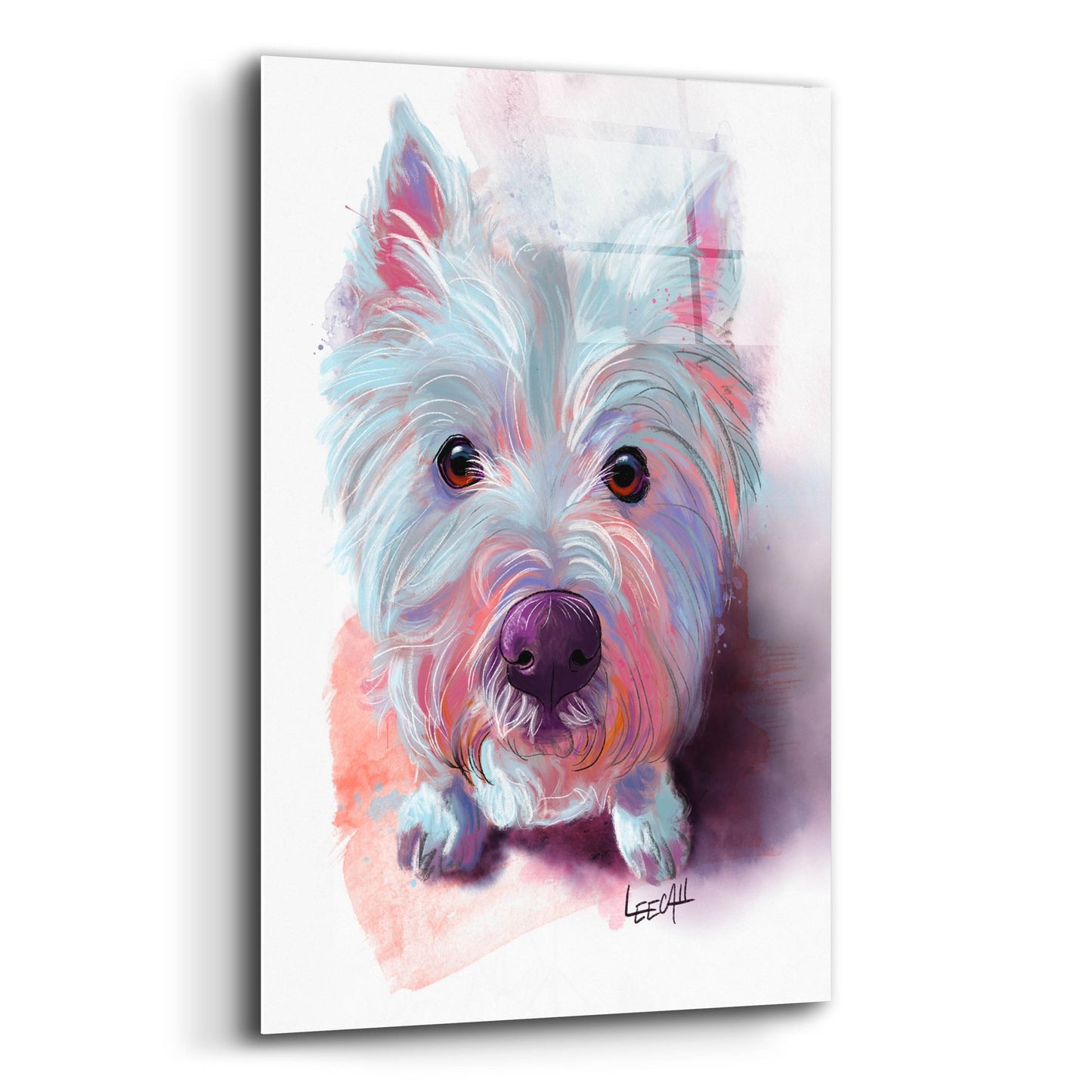 Epic Art 'Lily The Westie2 by Dawg Painter, Acrylic Glass Wall Art,16x24