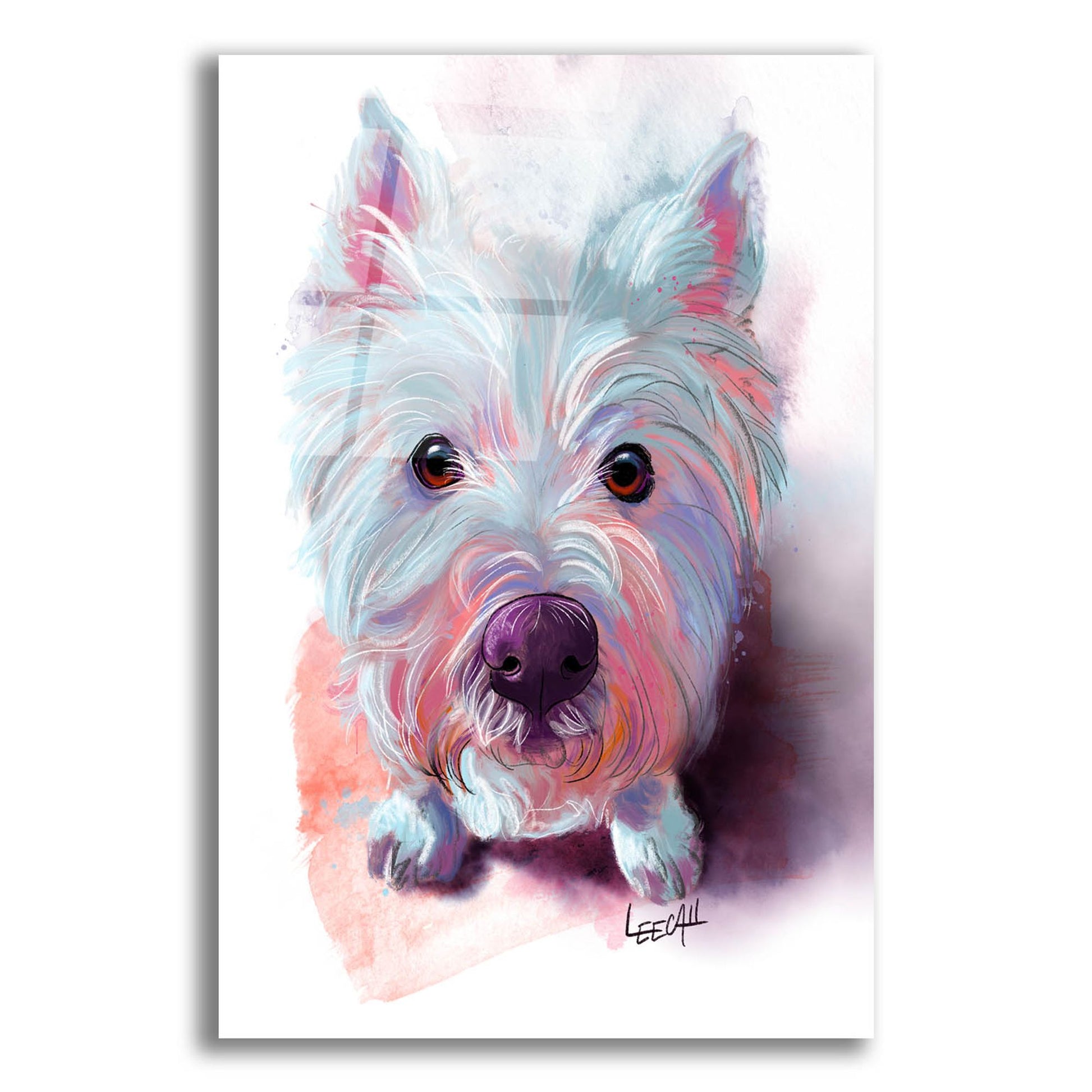 Epic Art 'Lily The Westie2 by Dawg Painter, Acrylic Glass Wall Art