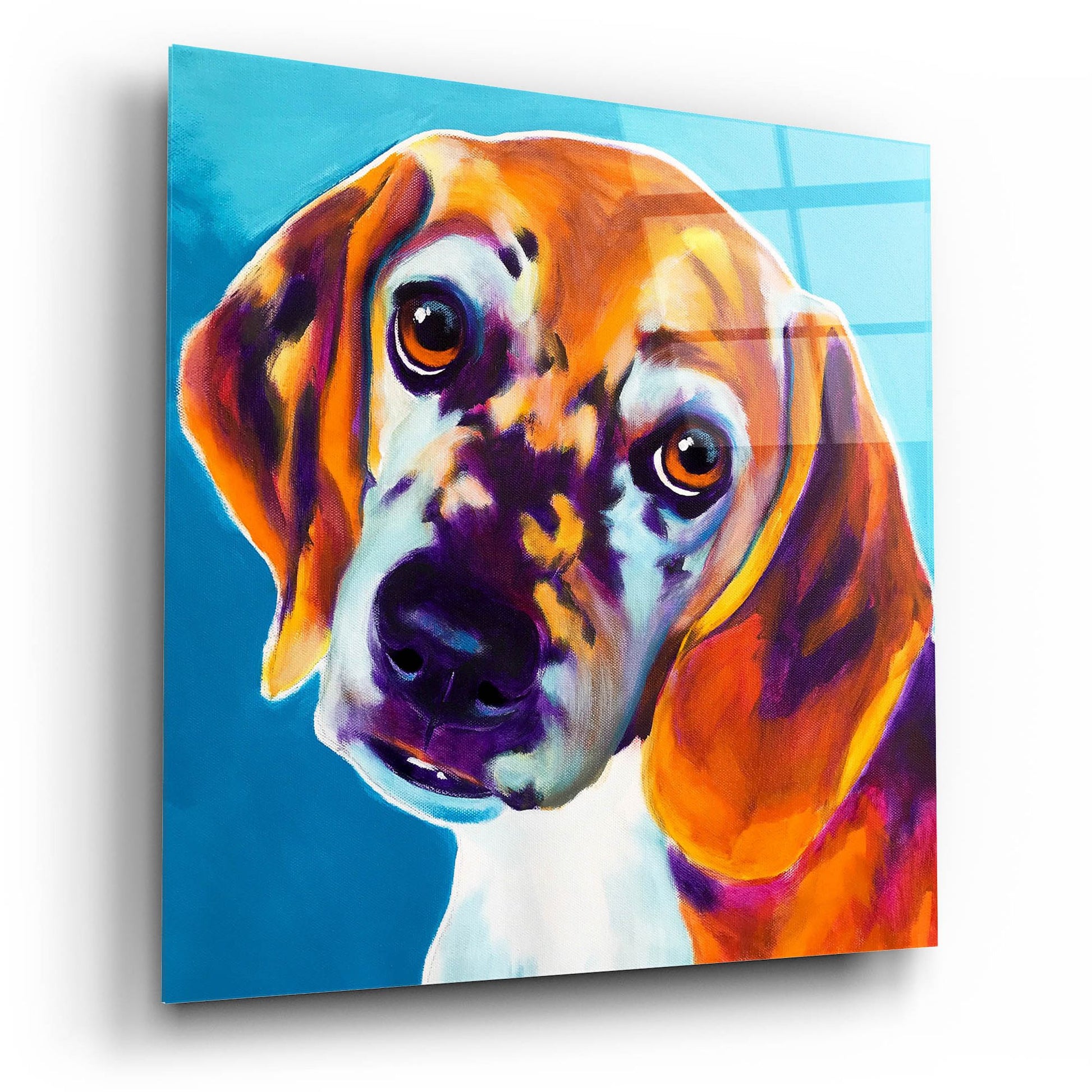 Epic Art 'Beagle - Bj2 by Dawg Painter, Acrylic Glass Wall Art,12x12