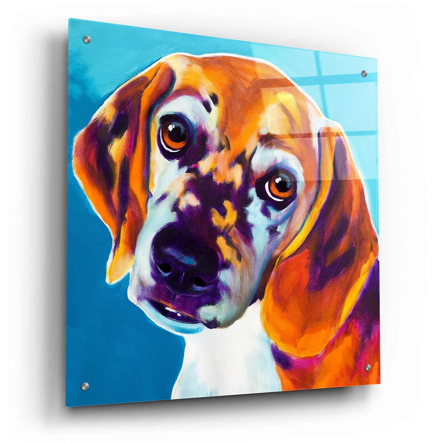 Epic Art 'Beagle - Bj2 by Dawg Painter, Acrylic Glass Wall Art,24x24