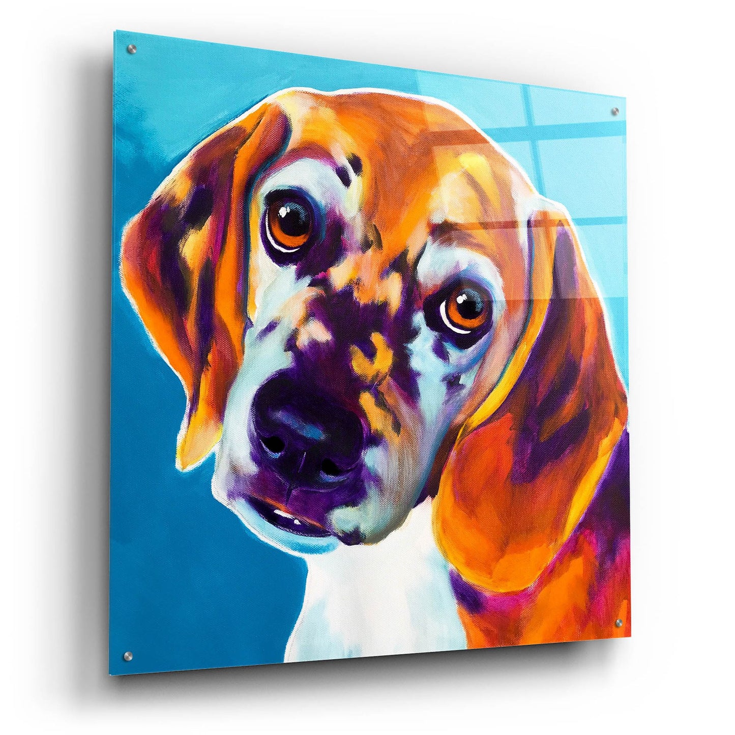 Epic Art 'Beagle - Bj2 by Dawg Painter, Acrylic Glass Wall Art,36x36