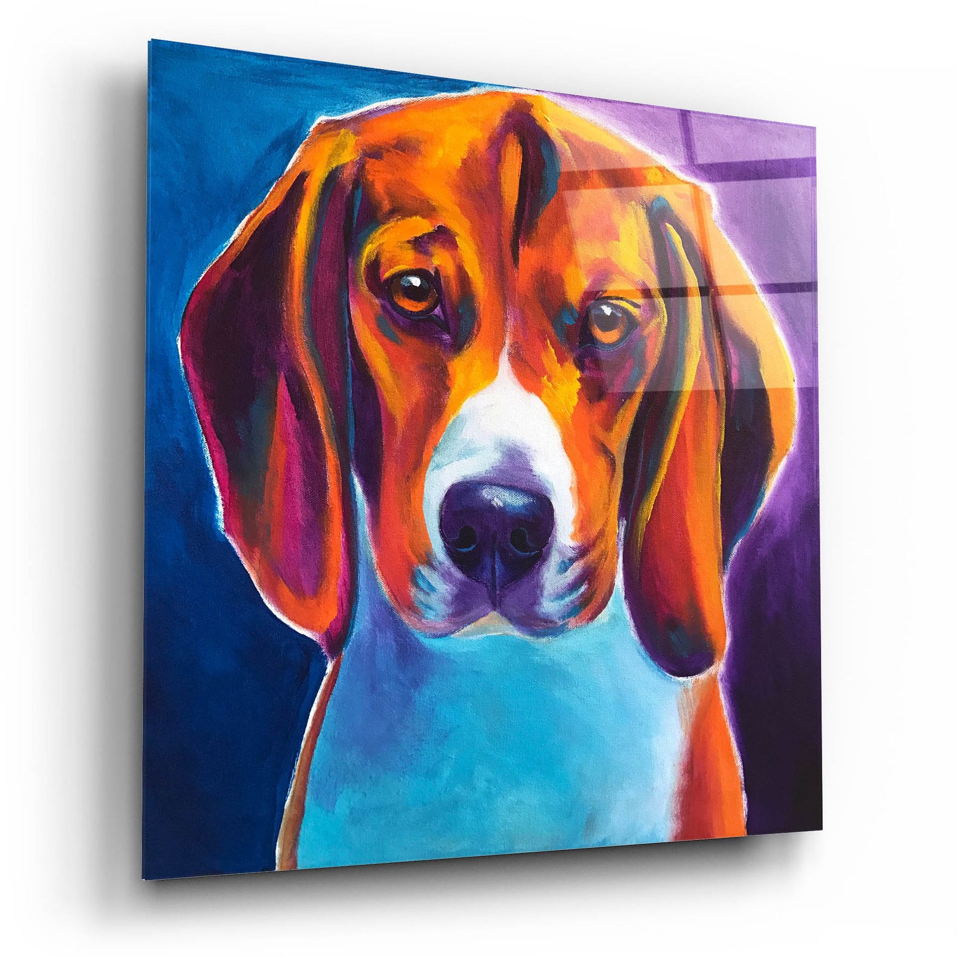 Epic Art 'Beagle - Chester2 by Dawg Painter, Acrylic Glass Wall Art,12x12