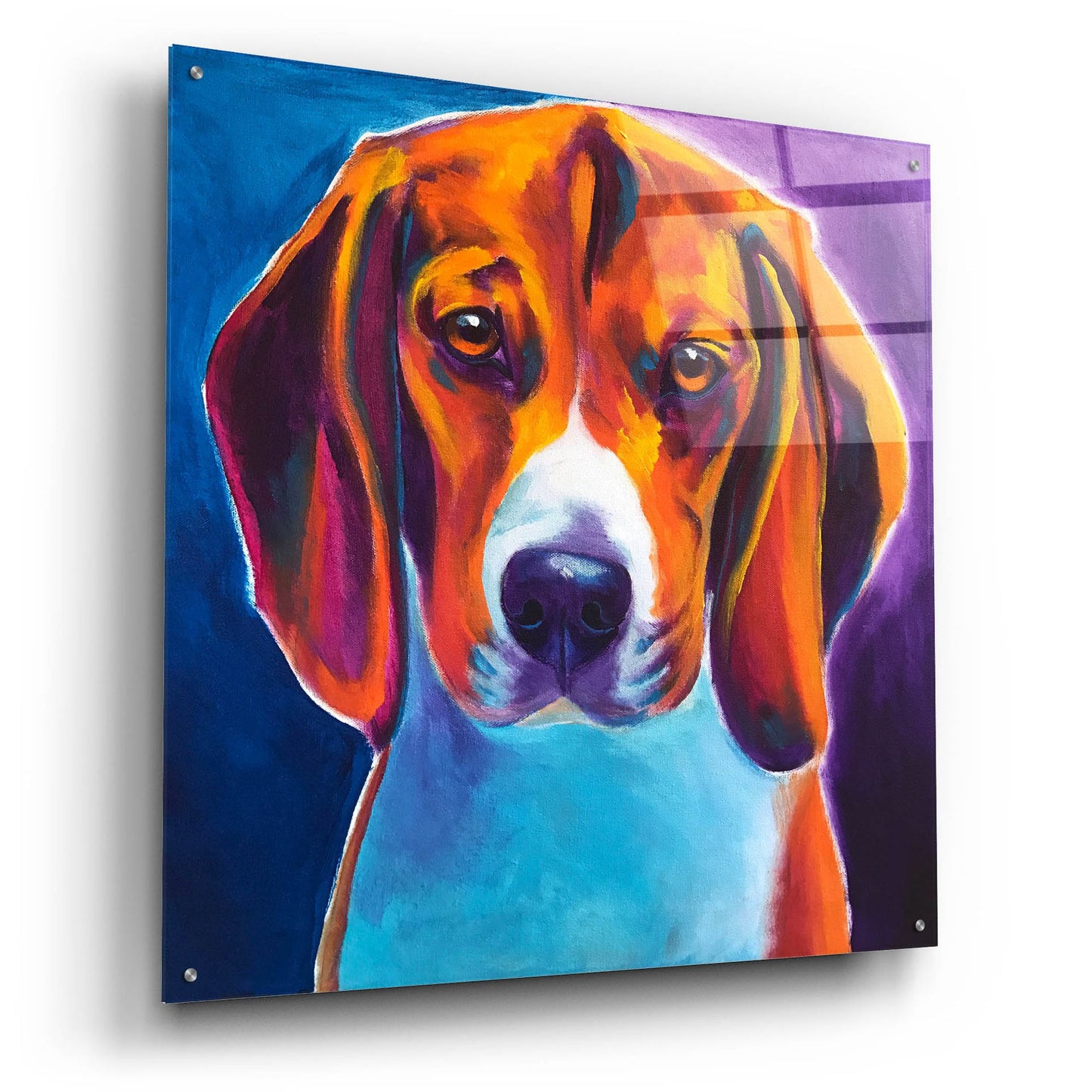 Epic Art 'Beagle - Chester2 by Dawg Painter, Acrylic Glass Wall Art,36x36