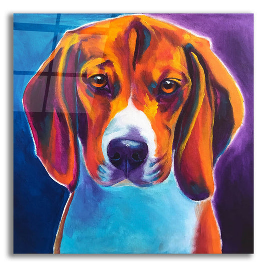 Epic Art 'Beagle - Chester2 by Dawg Painter, Acrylic Glass Wall Art