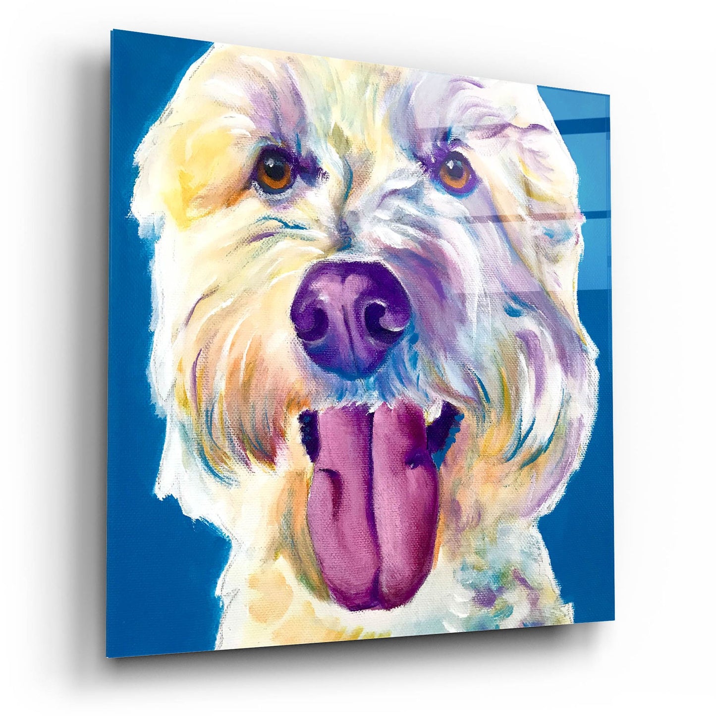 Epic Art 'Doodle - Hank2 by Dawg Painter, Acrylic Glass Wall Art,12x12