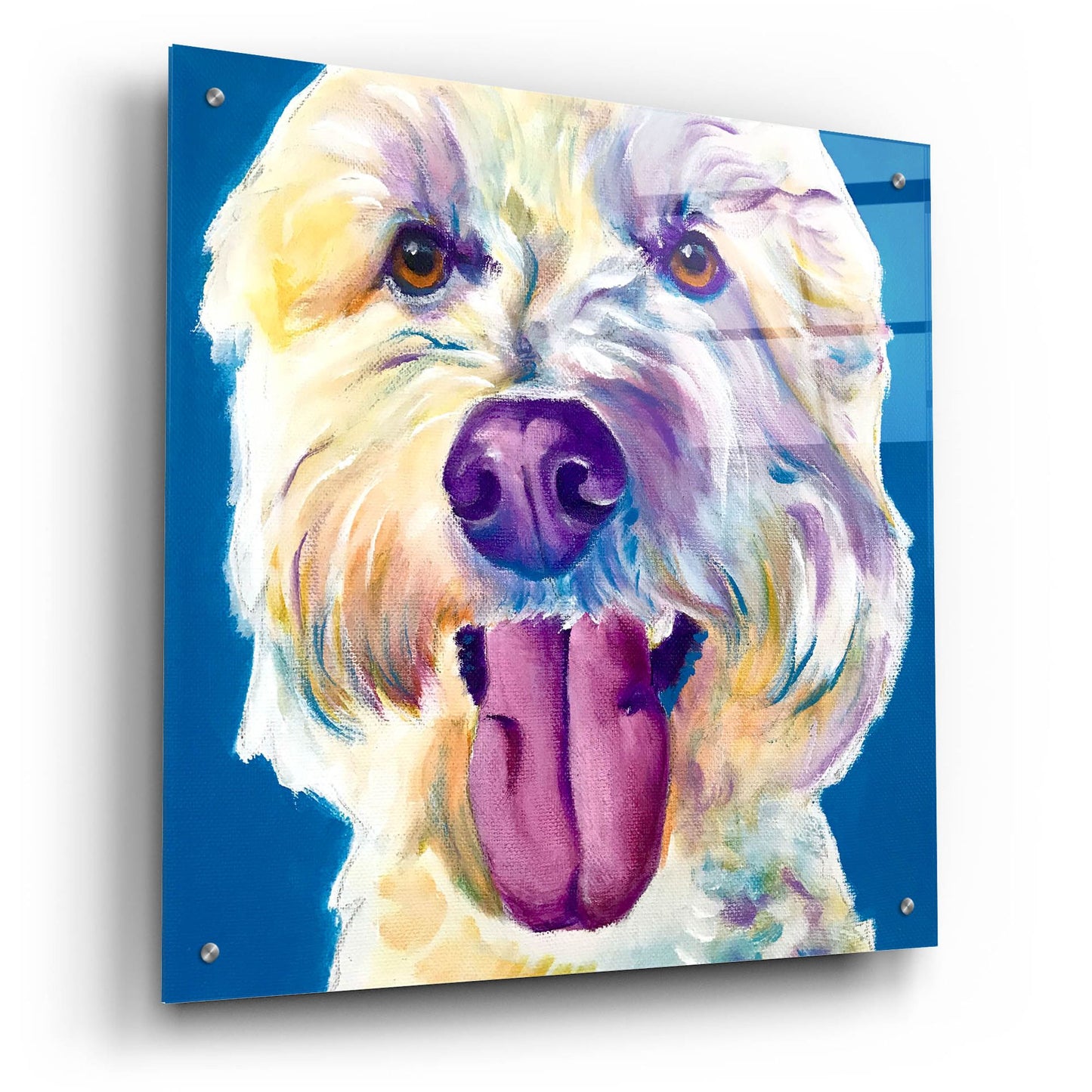 Epic Art 'Doodle - Hank2 by Dawg Painter, Acrylic Glass Wall Art,24x24