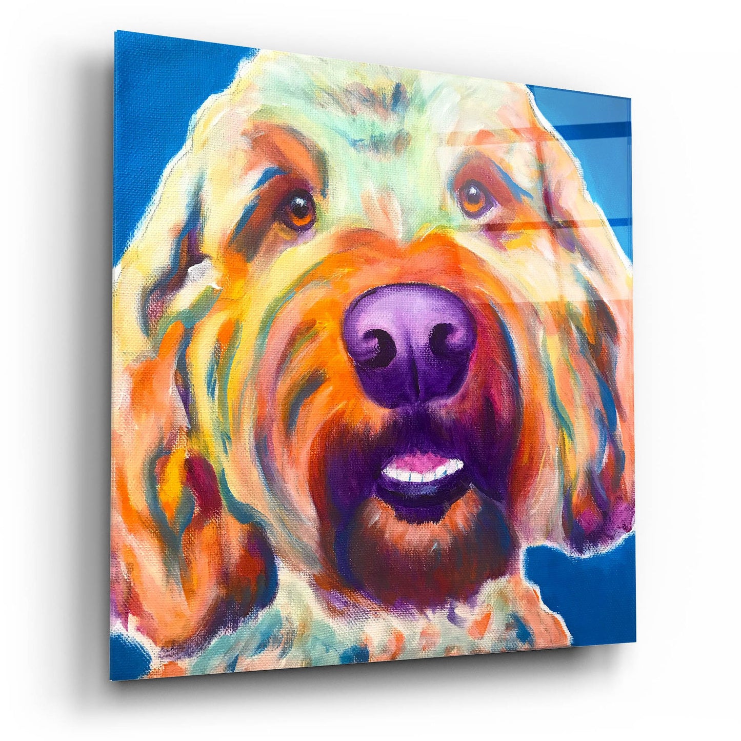 Epic Art 'Doodle - Larry2 by Dawg Painter, Acrylic Glass Wall Art,12x12