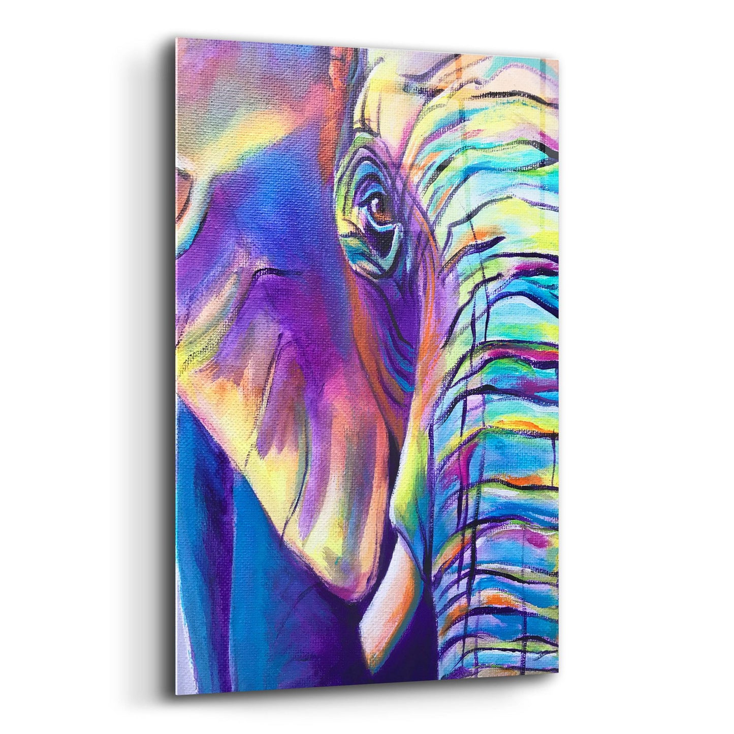 Epic Art 'Elephant - Butterfly Left2 by Dawg Painter, Acrylic Glass Wall Art,12x16