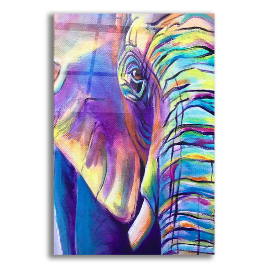 Epic Art 'Elephant - Butterfly Left2 by Dawg Painter, Acrylic Glass Wall Art