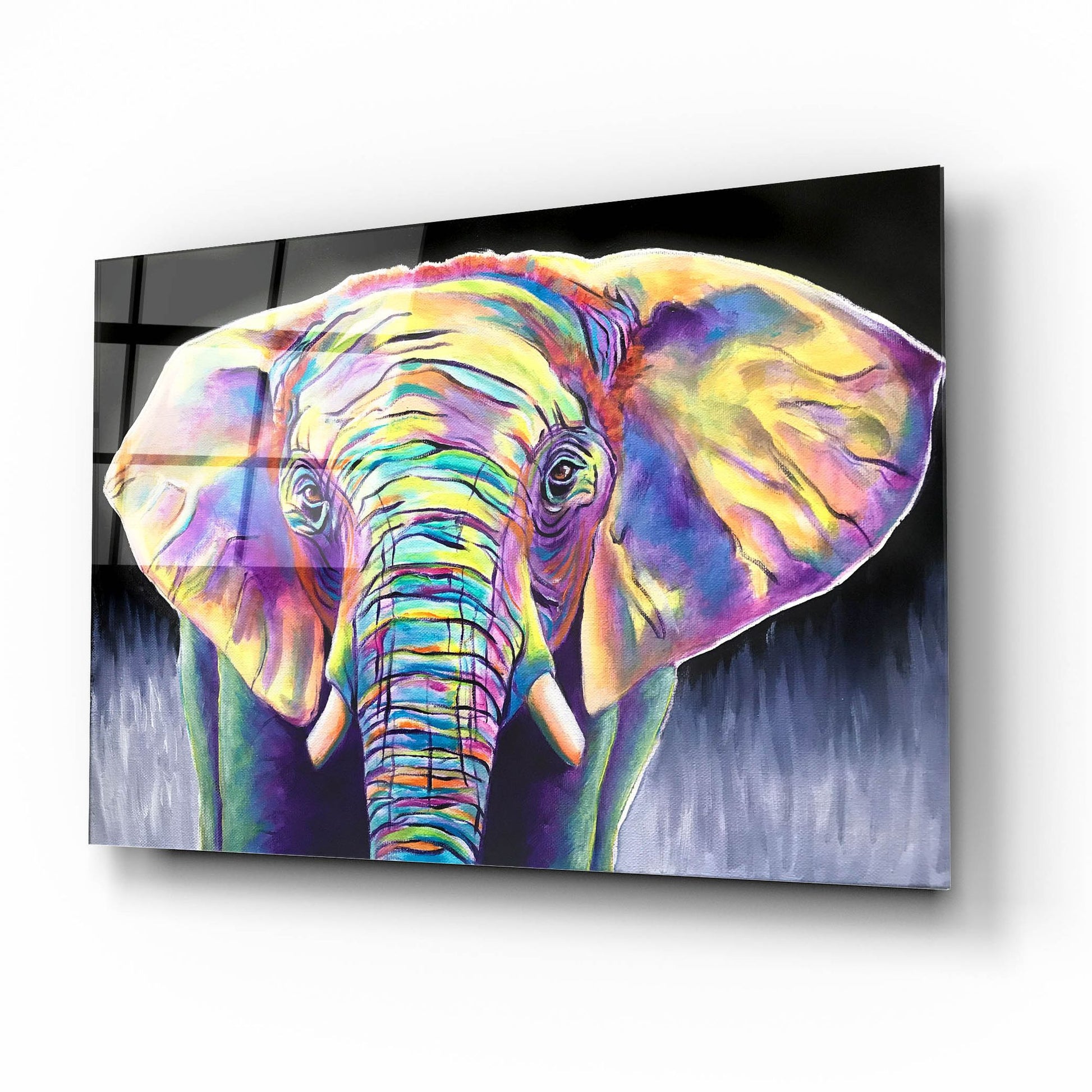 Epic Art 'Elephant - Butterfly2 by Dawg Painter, Acrylic Glass Wall Art,16x12