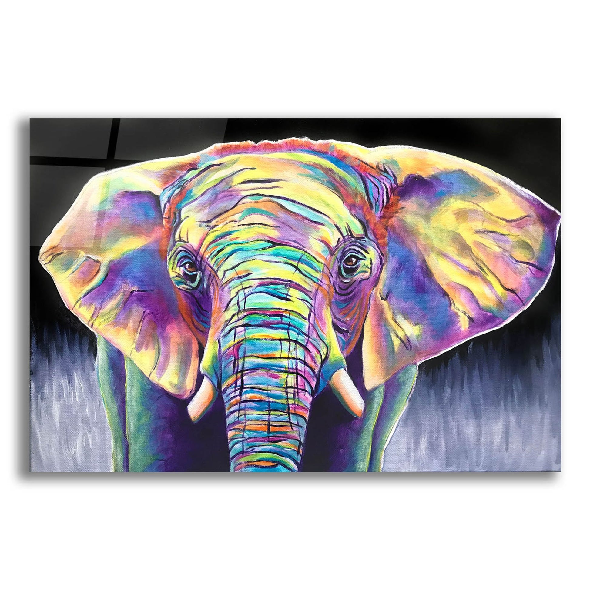 Epic Art 'Elephant - Butterfly2 by Dawg Painter, Acrylic Glass Wall Art,24x16