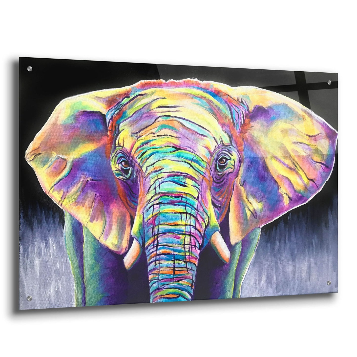 Epic Art 'Elephant - Butterfly2 by Dawg Painter, Acrylic Glass Wall Art,36x24