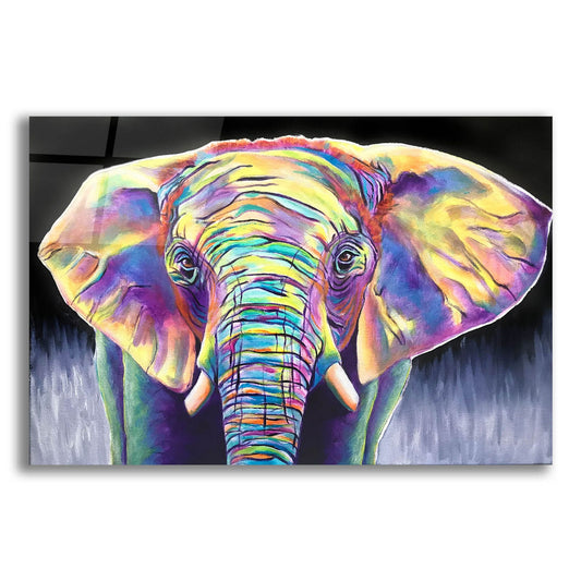 Epic Art 'Elephant - Butterfly2 by Dawg Painter, Acrylic Glass Wall Art