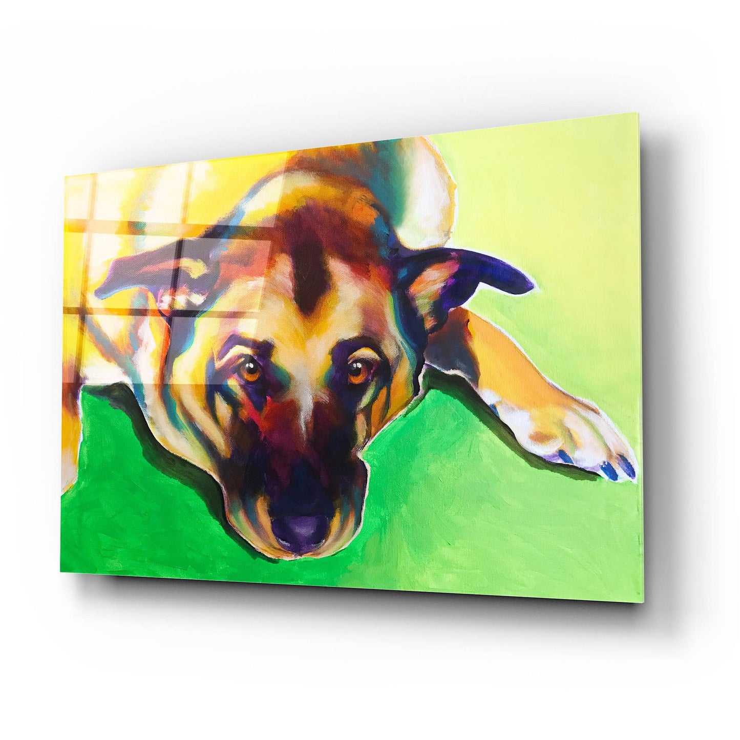 Epic Art 'German Shepherd - Stanley Boy2 by Dawg Painter, Acrylic Glass Wall Art,24x16