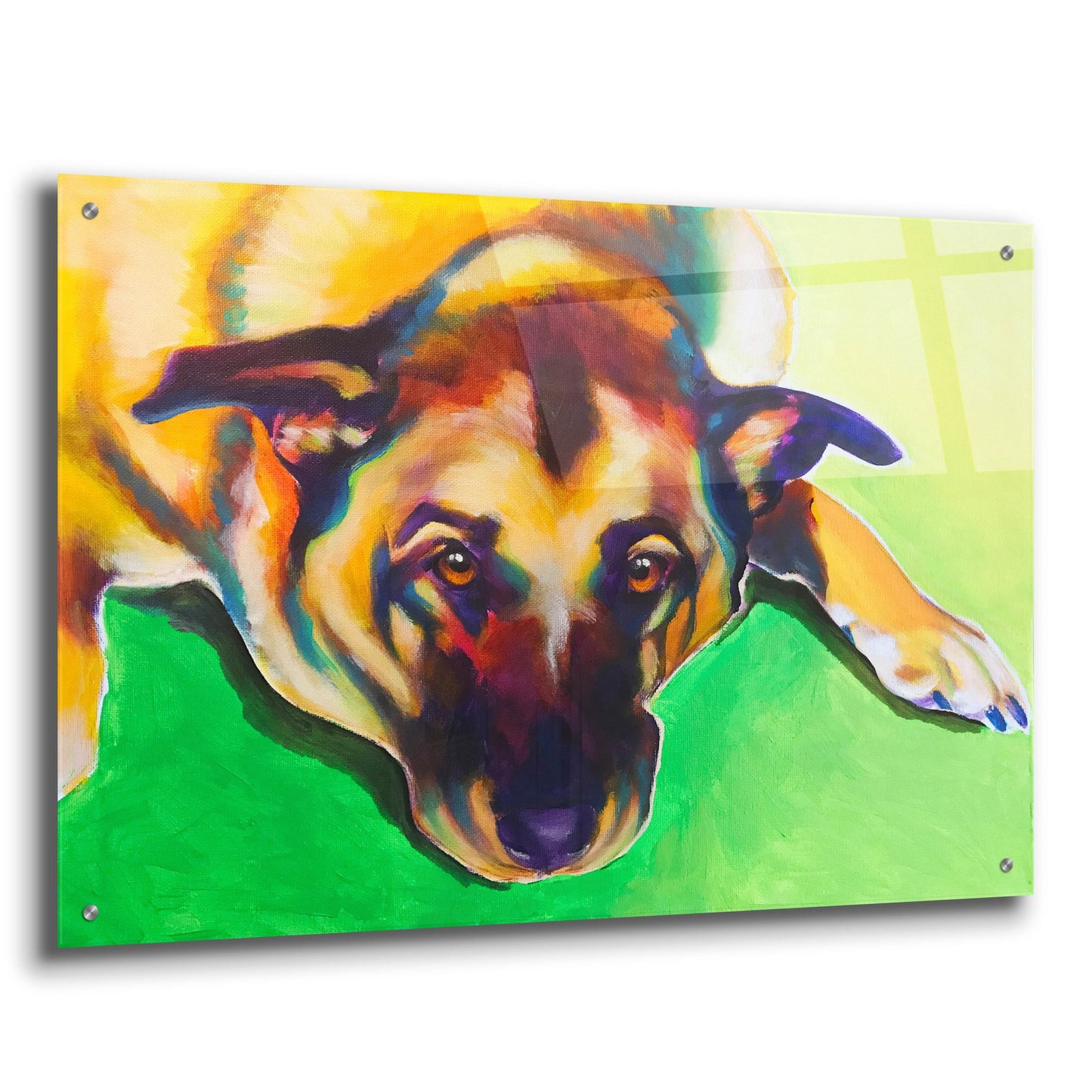 Epic Art 'German Shepherd - Stanley Boy2 by Dawg Painter, Acrylic Glass Wall Art,36x24