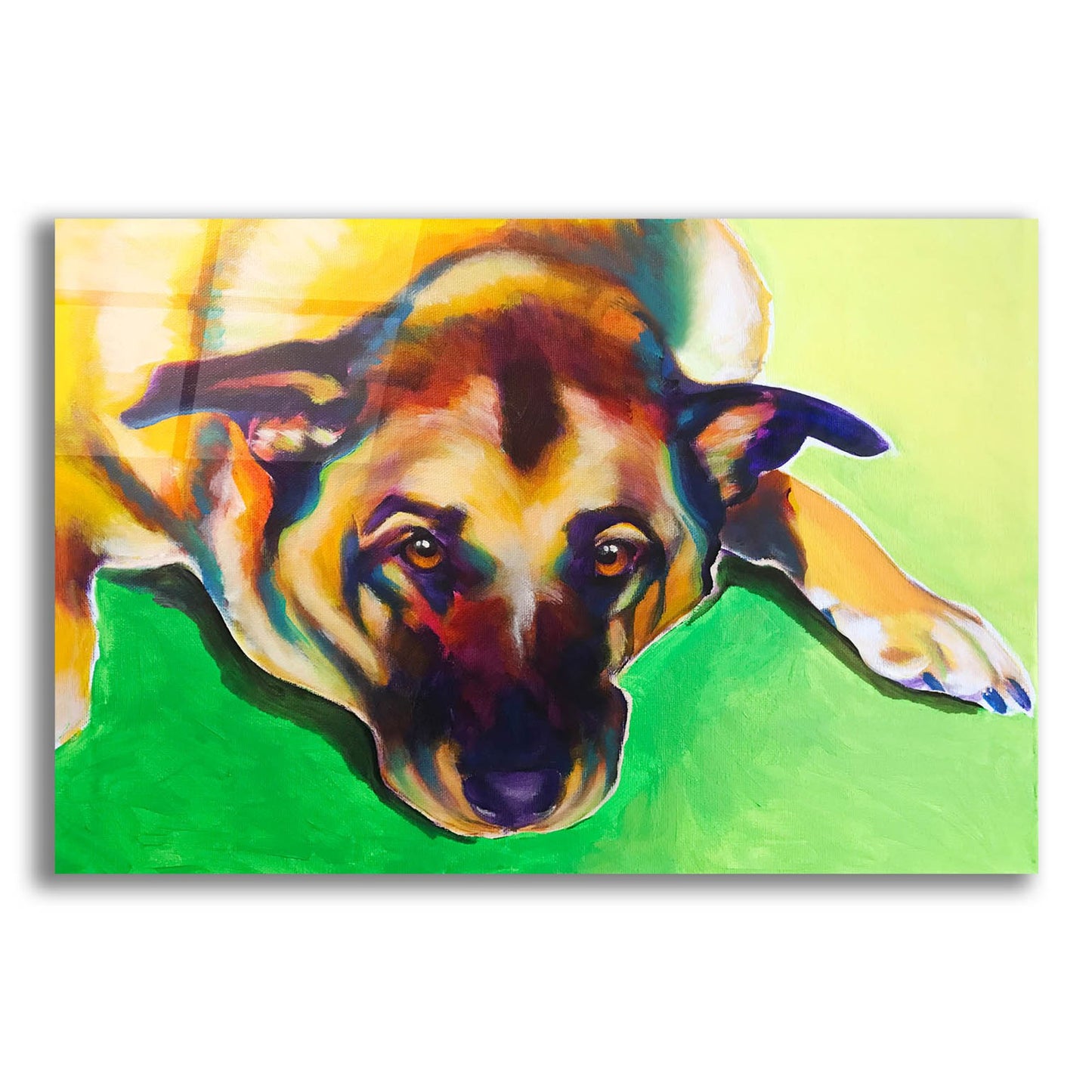 Epic Art 'German Shepherd - Stanley Boy2 by Dawg Painter, Acrylic Glass Wall Art