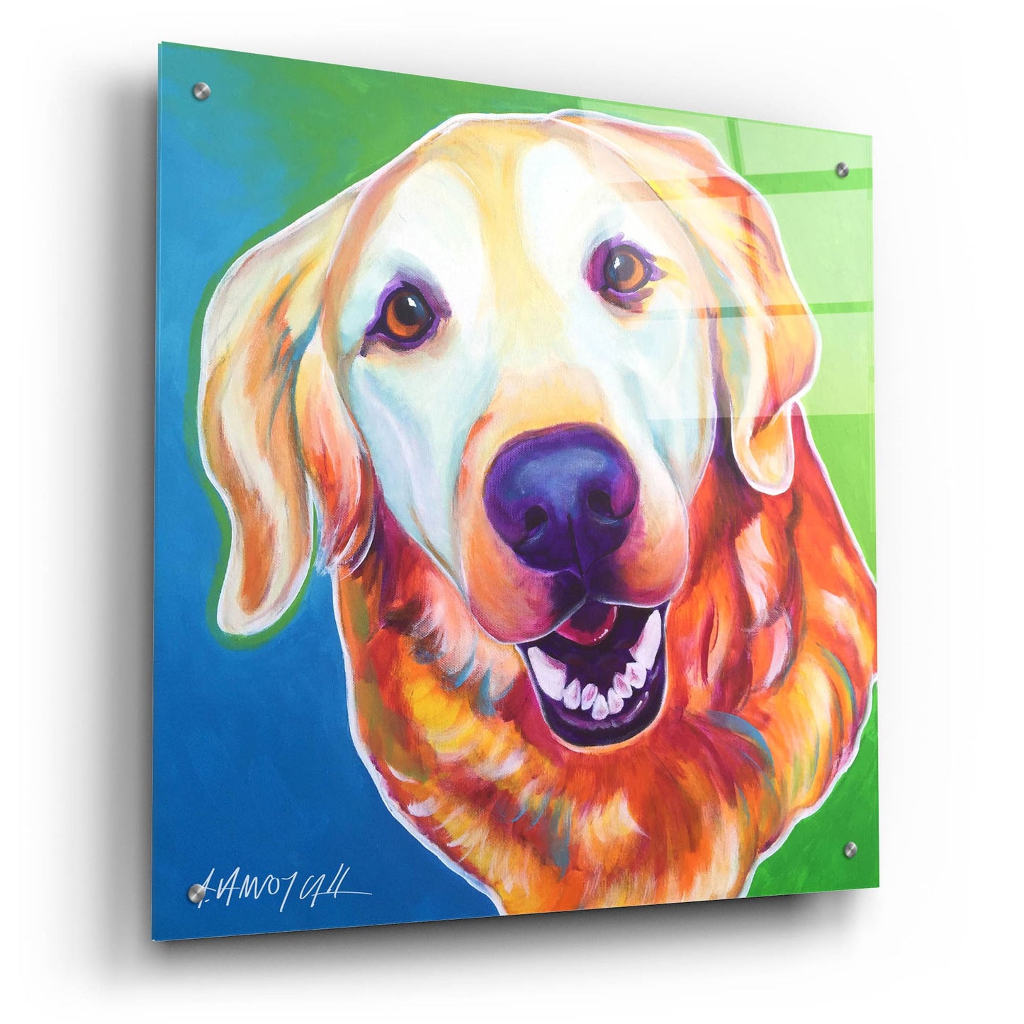 Epic Art 'Golden - Daisy Mae2 by Dawg Painter, Acrylic Glass Wall Art,24x24