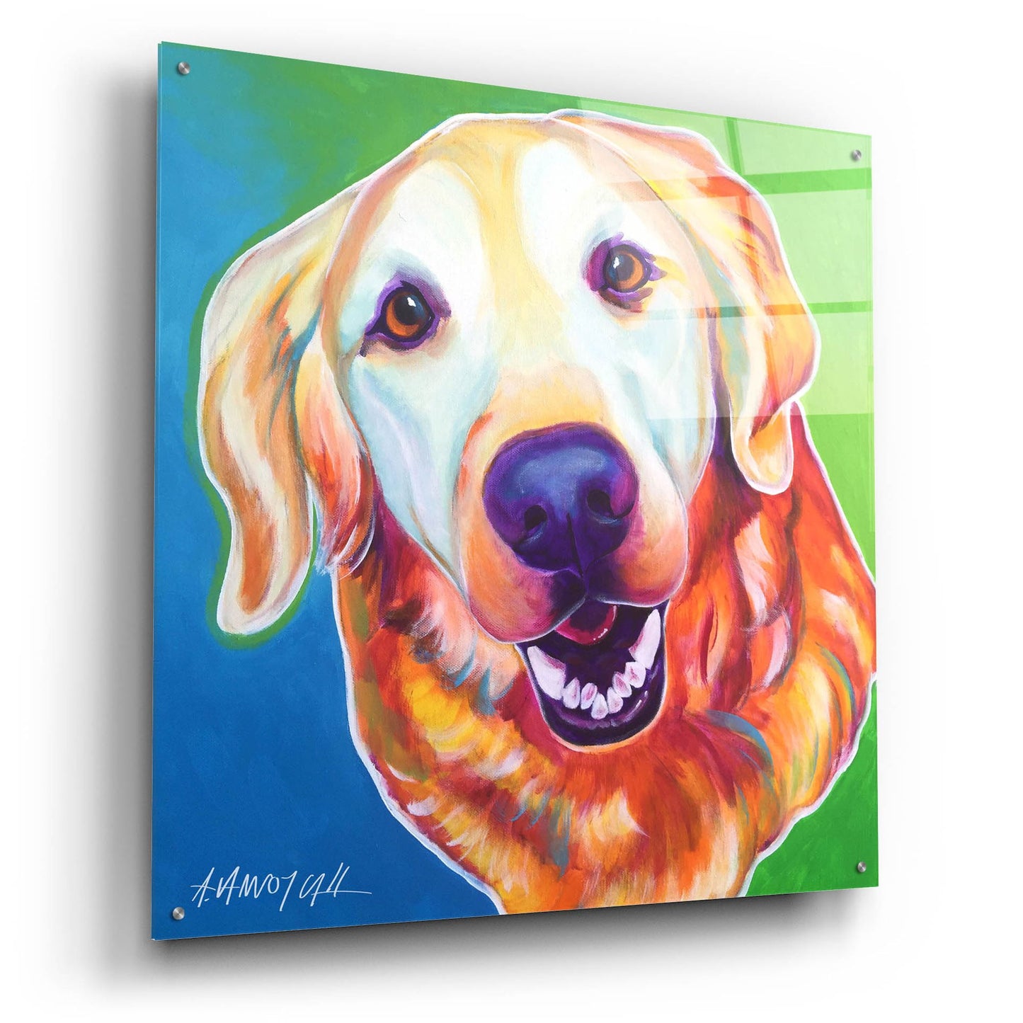 Epic Art 'Golden - Daisy Mae2 by Dawg Painter, Acrylic Glass Wall Art,36x36