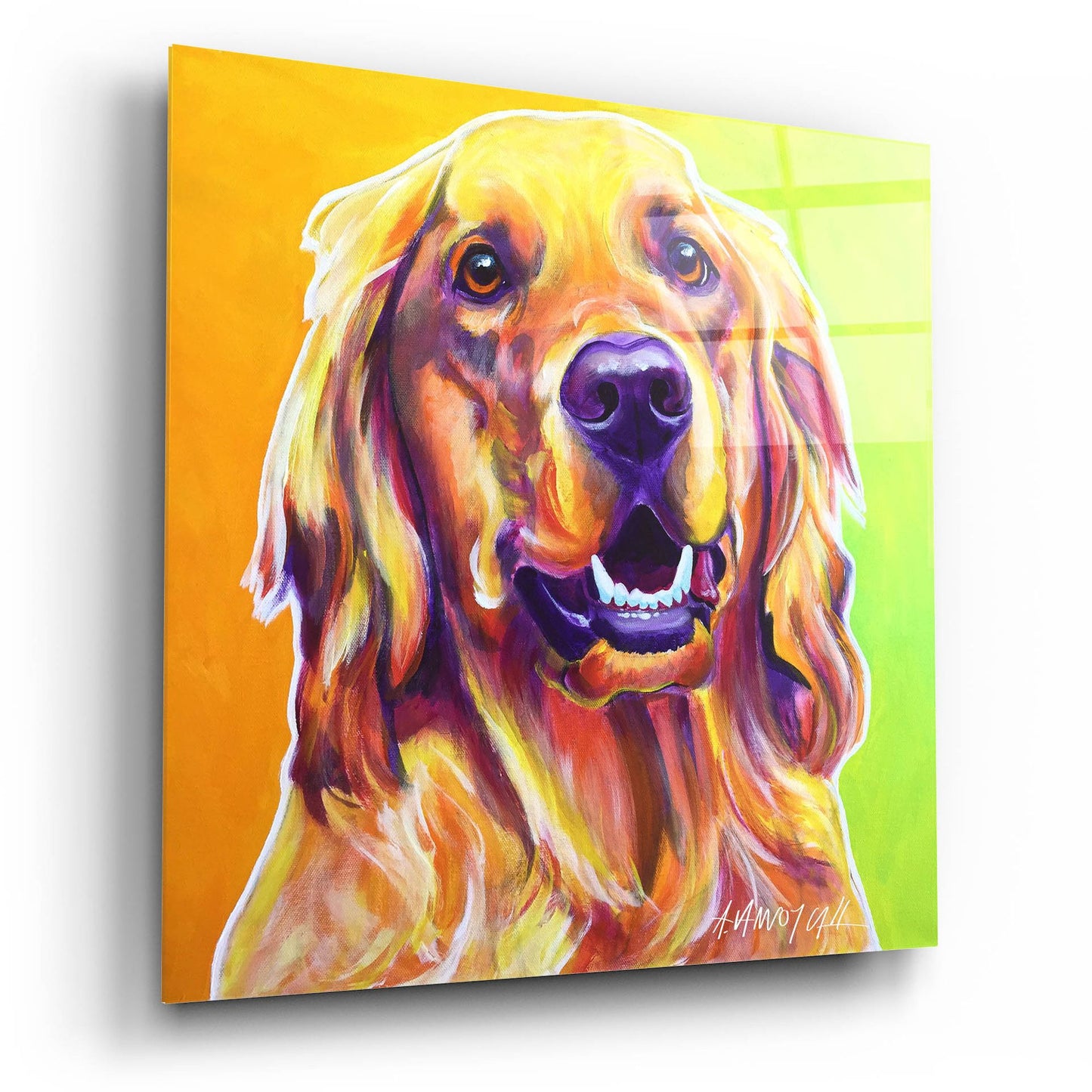 Epic Art 'Golden - Jasper2 by Dawg Painter, Acrylic Glass Wall Art,12x12