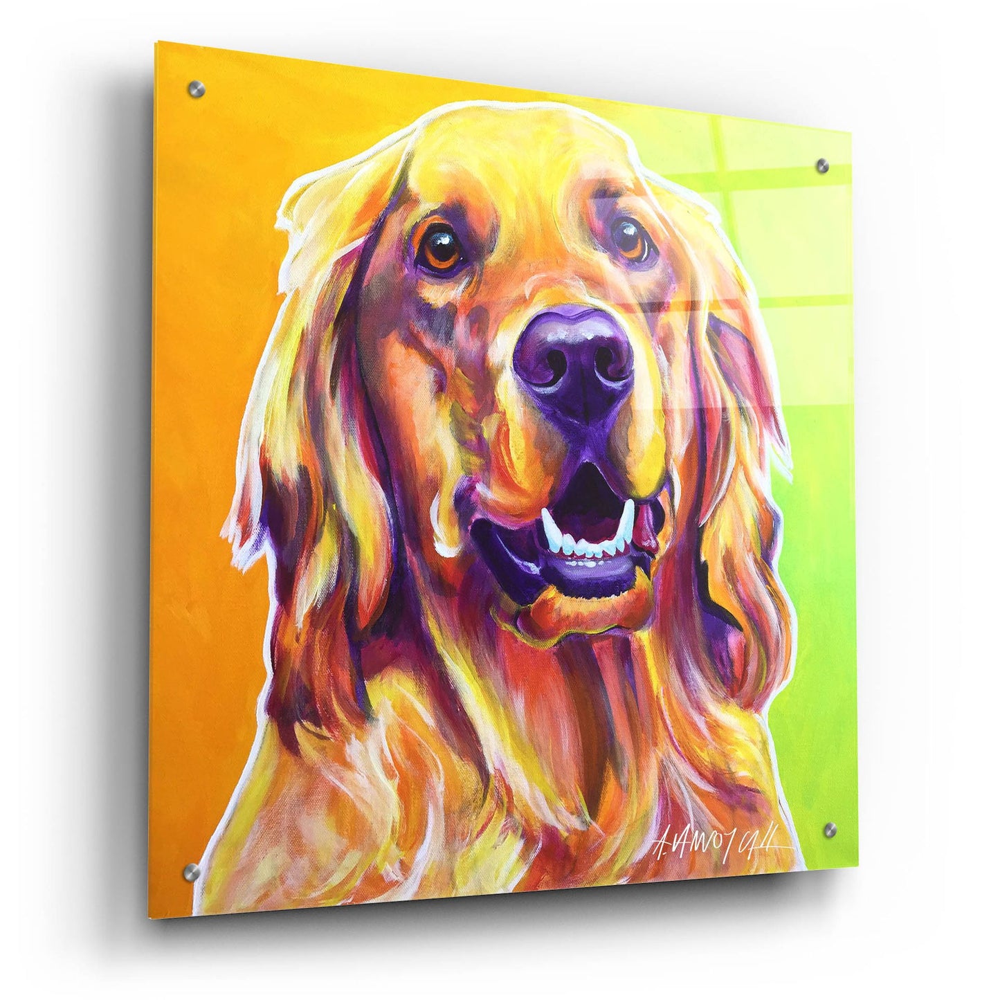 Epic Art 'Golden - Jasper2 by Dawg Painter, Acrylic Glass Wall Art,24x24