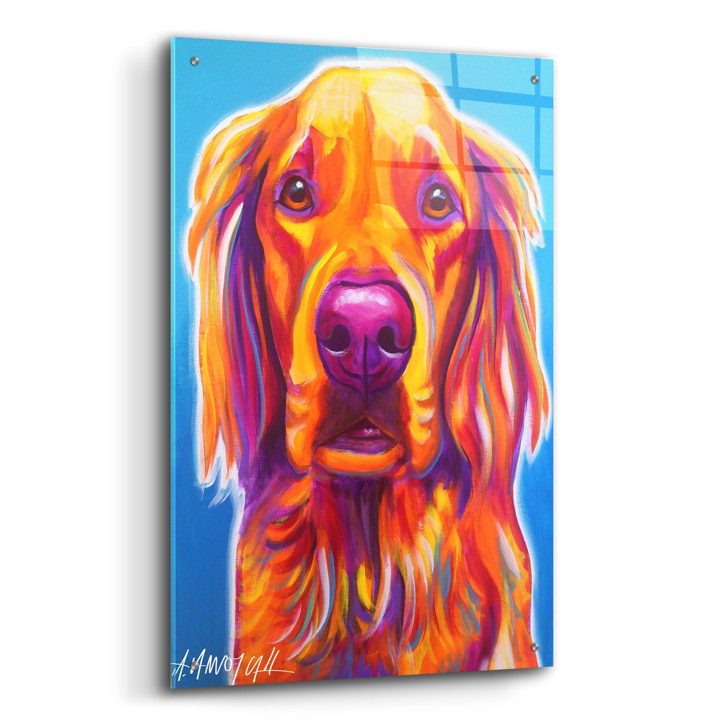 Epic Art 'Golden - Macie2 by Dawg Painter, Acrylic Glass Wall Art,24x36