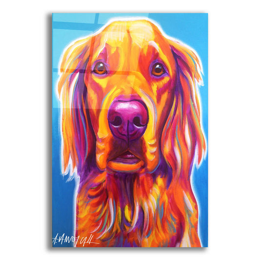 Epic Art 'Golden - Macie2 by Dawg Painter, Acrylic Glass Wall Art