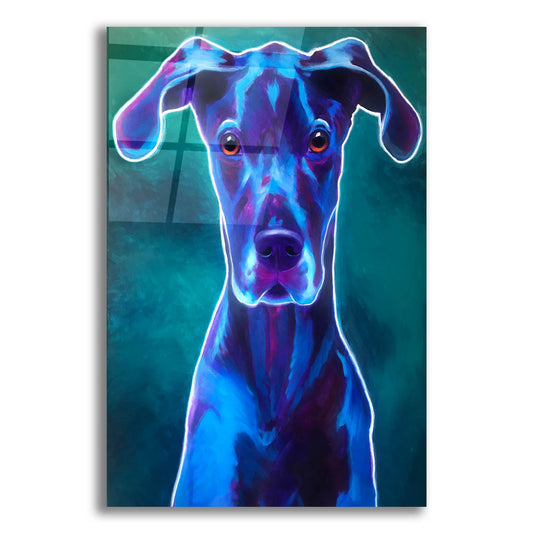 Epic Art 'Great Dane - Blue2 by Dawg Painter, Acrylic Glass Wall Art