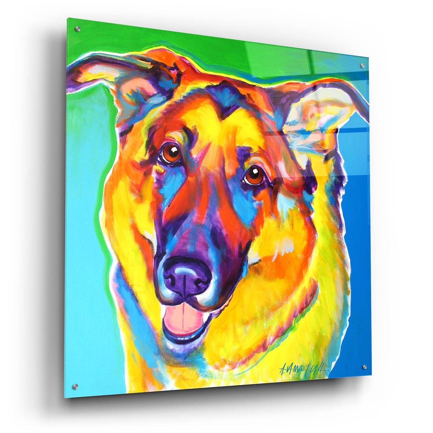 Epic Art 'Gsd - Thomas2 by Dawg Painter, Acrylic Glass Wall Art,36x36