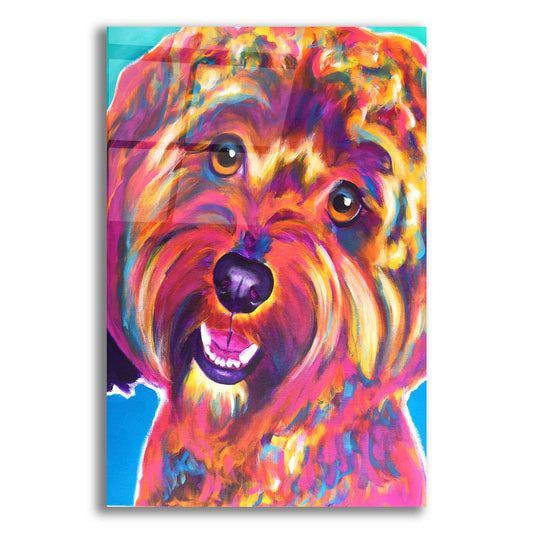 Epic Art 'Cavapoo - Daisy2 by Dawg Painter, Acrylic Glass Wall Art